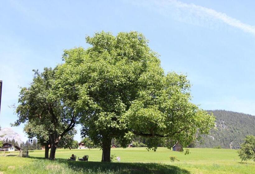 Отель Schmiedlehnerhof