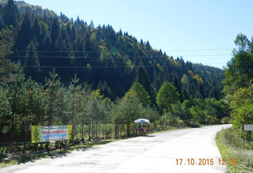 ホテル Yesilyayla Eko Turizm