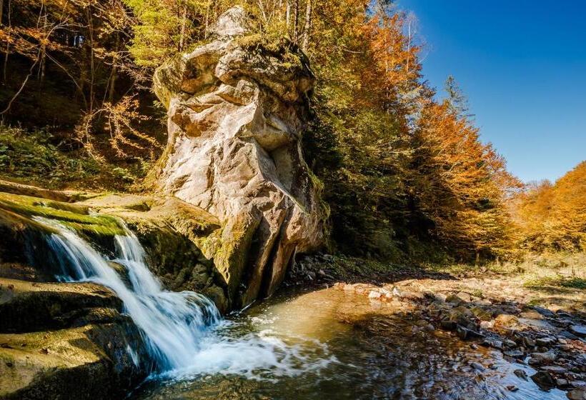 Пансион хата різьбяра закуток