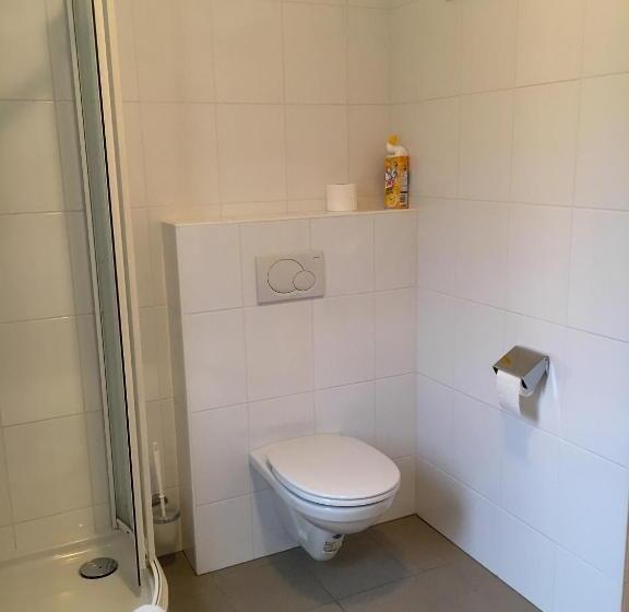 Пансион Aparthome L.i.n.z