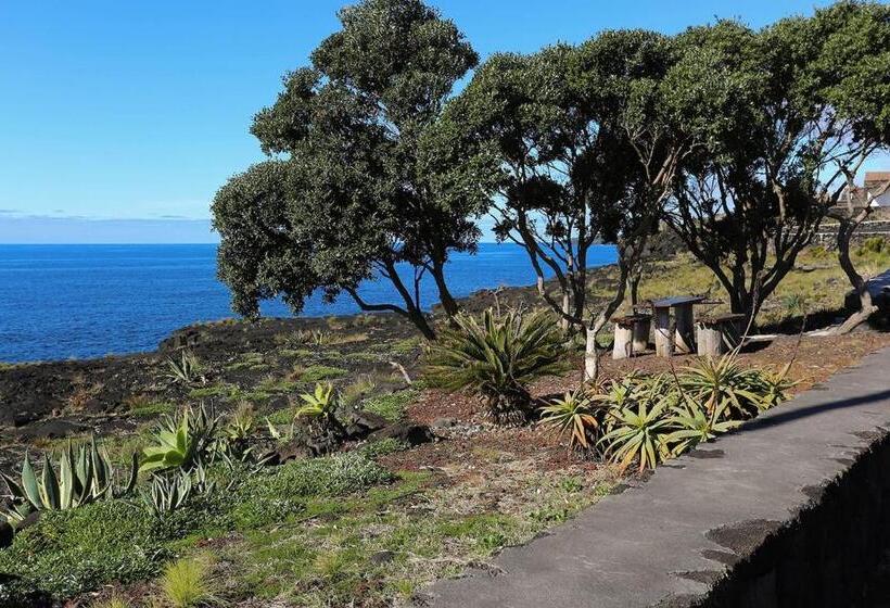 بنسيون Casa Da Rocha