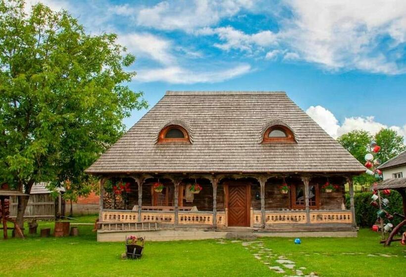 بنسيون Casa Din Susani