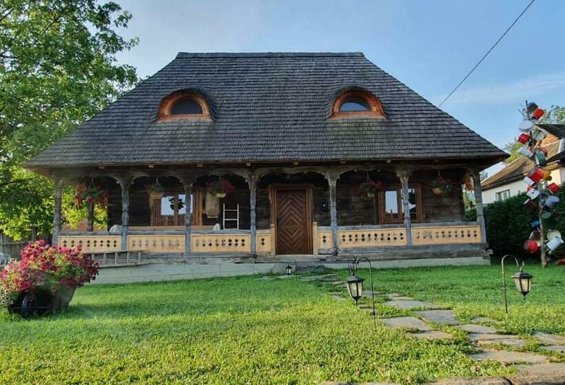 פנסיון Casa Din Susani