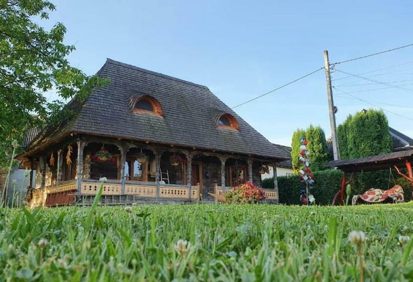 פנסיון Casa Din Susani