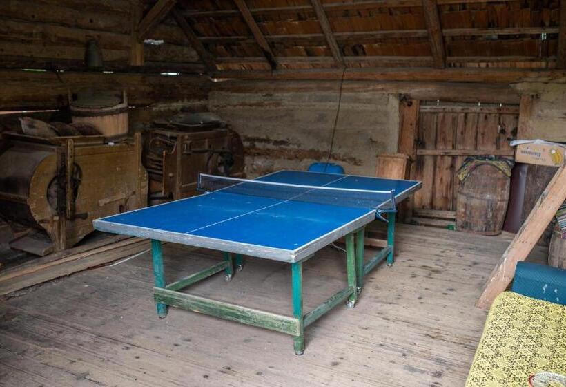 Пансион Casa Strabunicului