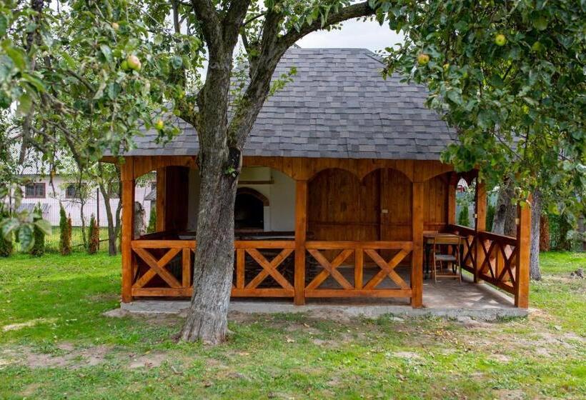 Пансион Casa Strabunicului