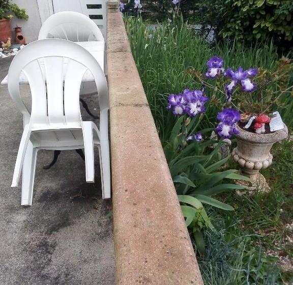 膳宿费 Chambre D Hotes