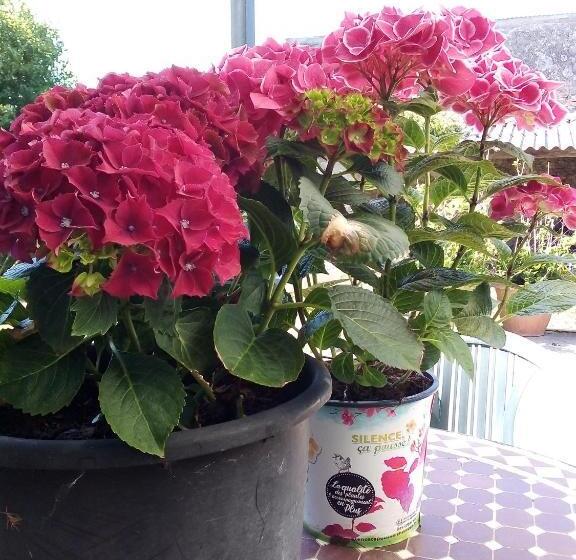 膳宿费 Chambre D Hotes