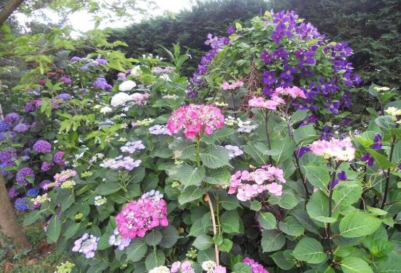 膳宿费 Chambre D Hotes