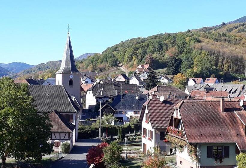 膳宿费 Chambres D Hôtes Au Val Séjour Alsace
