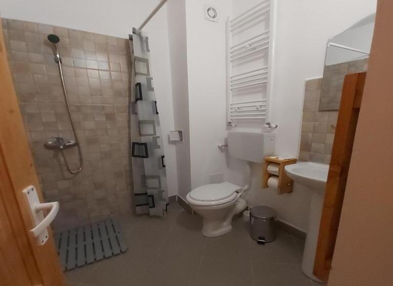 بنسيون Conacul Sarbesc