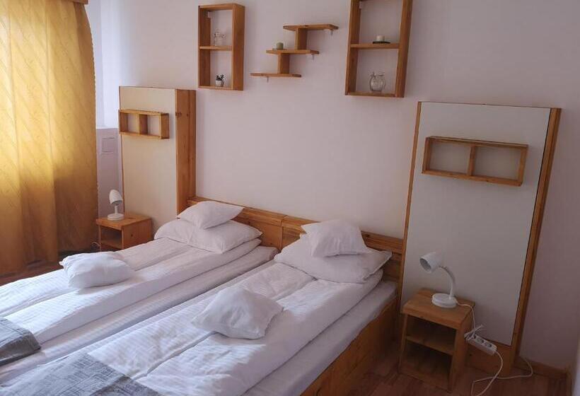 بنسيون Conacul Sarbesc