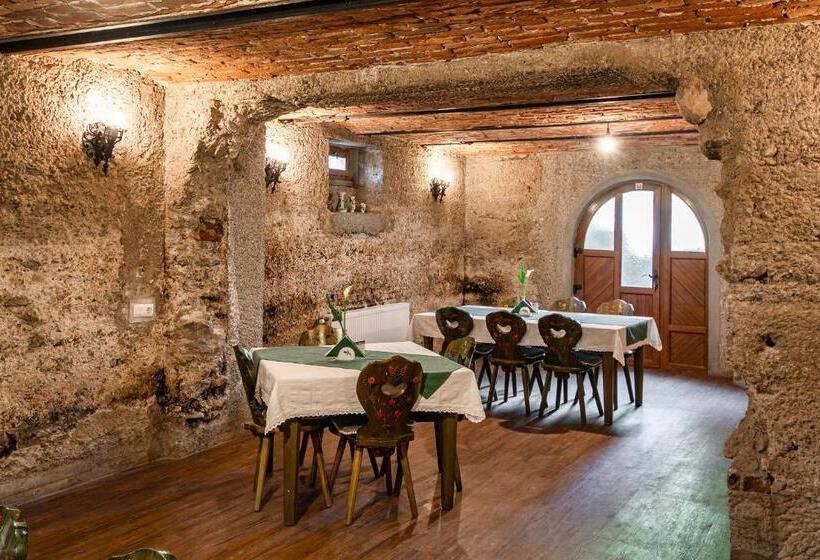 Пансион Conacul Secuiesc Székelykő Kúria