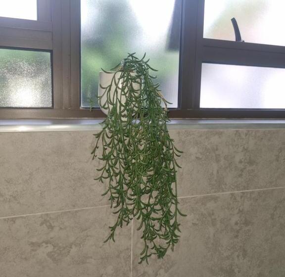 פנסיון Eland Place Self Catering Guest House