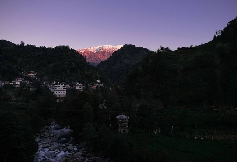 פנסיון Hakoni House