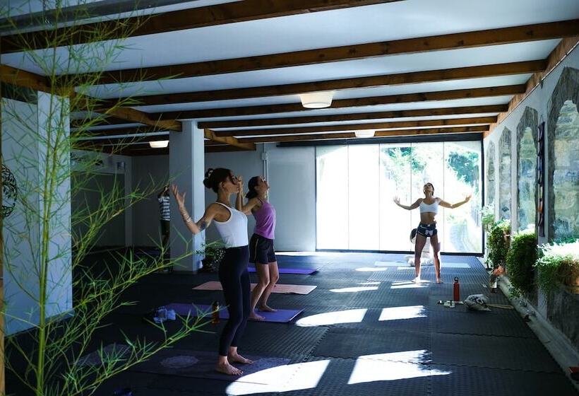 بنسيون Hakoni House