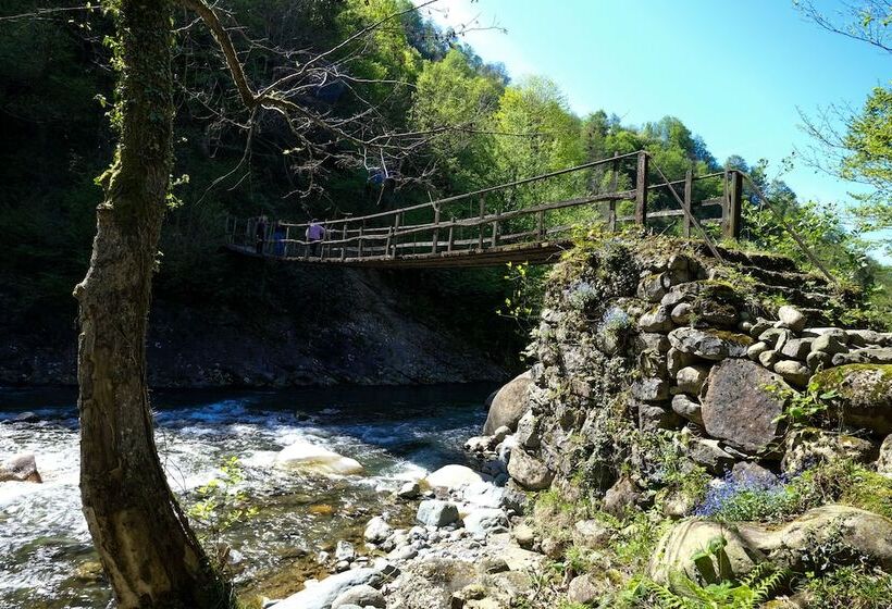 بنسيون Hakoni House