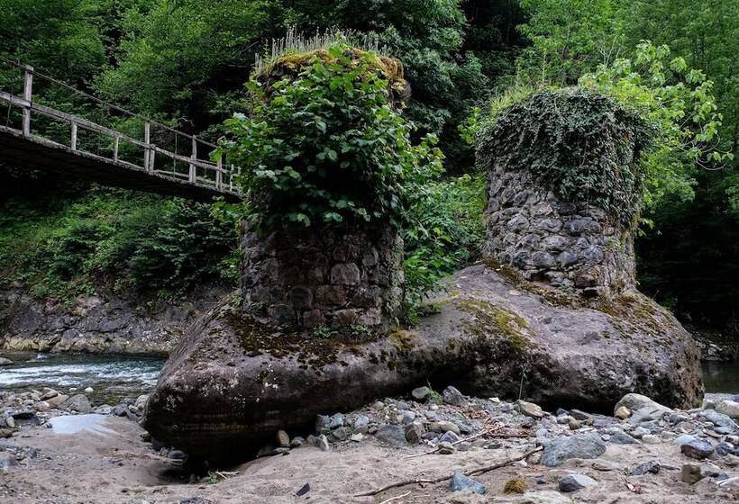 بنسيون Hakoni House