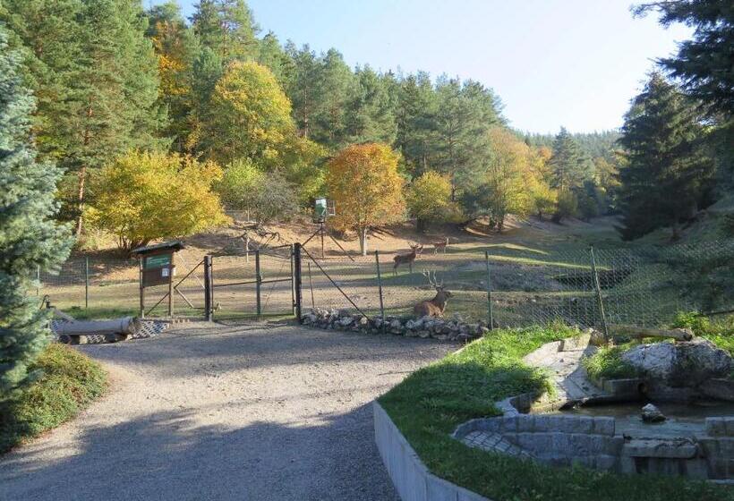 بنسيون Haus Sonnenwalde   Familie Ruhe