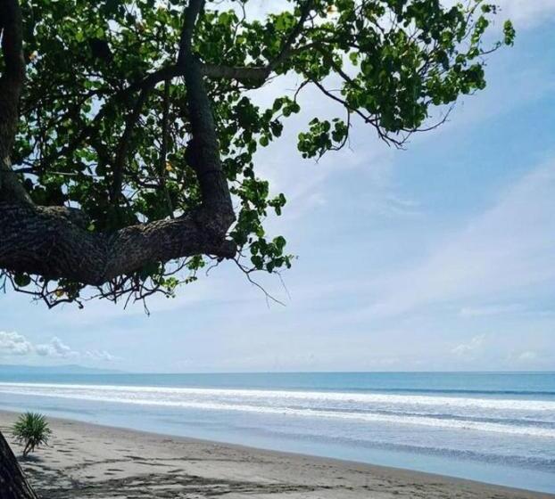 פנסיון Jembrana Bali Homestay