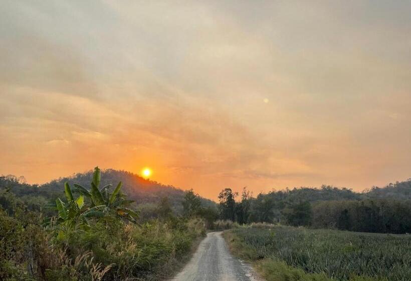 膳宿费 Kongkarn Resort And Farmstay