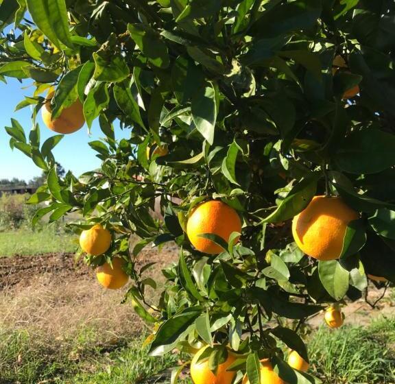 膳宿费 L Escale Au Portugal Villa B&b Spa