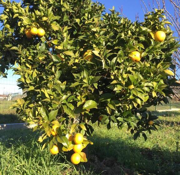 膳宿费 L Escale Au Portugal Villa B&b Spa