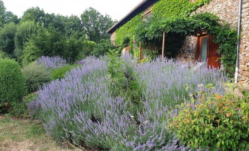 膳宿费 L Estivante