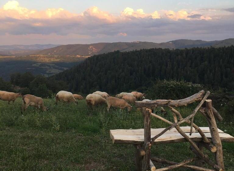 膳宿费 L Estivante