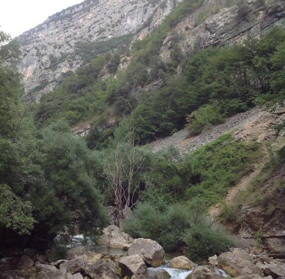 بنسيون La Cigale