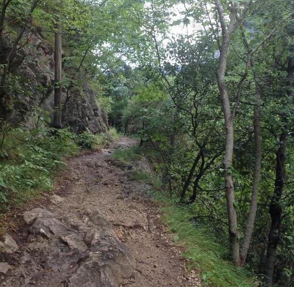 بنسيون La Cigale