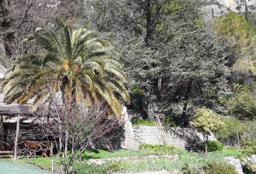 بنسيون La Cigale