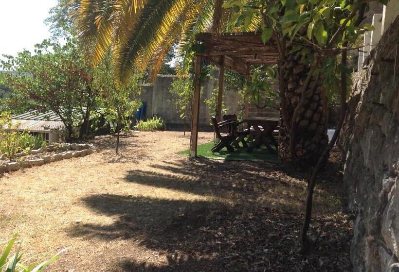 بنسيون La Cigale