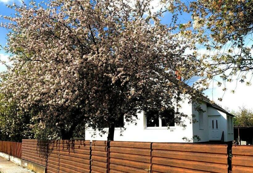 펜션 Lali Vendégház