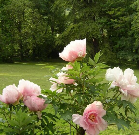 بنسيون Le Domaine De Pomone