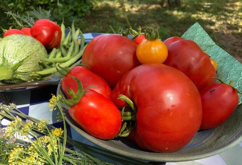 Пансион Les Deux Chevaux Chambres D’hôtes