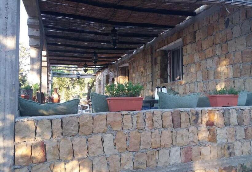 بنسيون Maison D Hôtes Abou Hachem