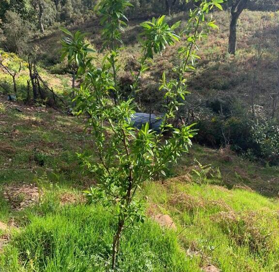 بنسيون Maison D Hôtes Abou Hachem