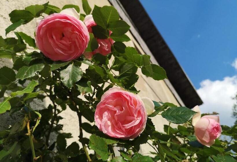 펜션 Maison Le Rozet