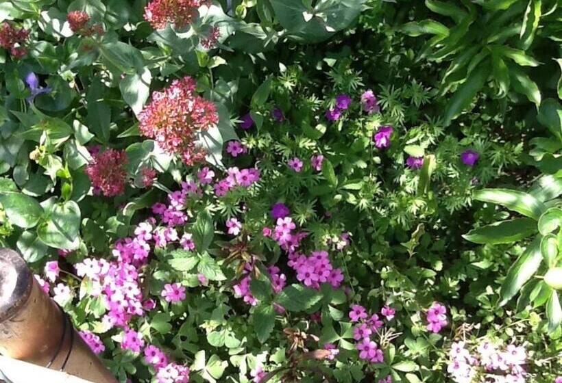 Пансион Pain Et Confiture