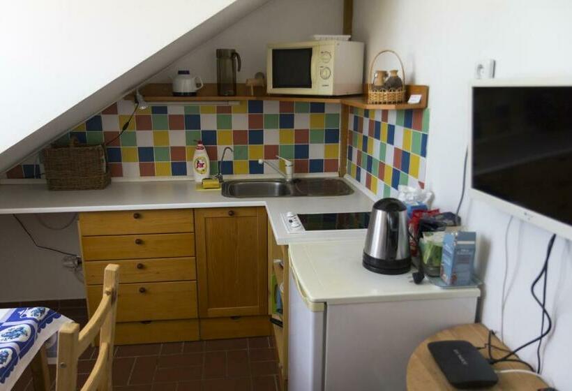 פנסיון Penzion U Maléřa