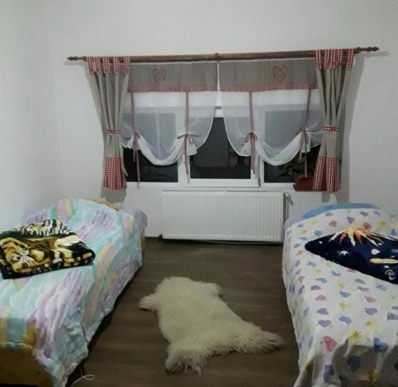 پانسیون Perla Neagră Lotus Spa