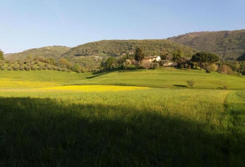 Пансион Rosy25