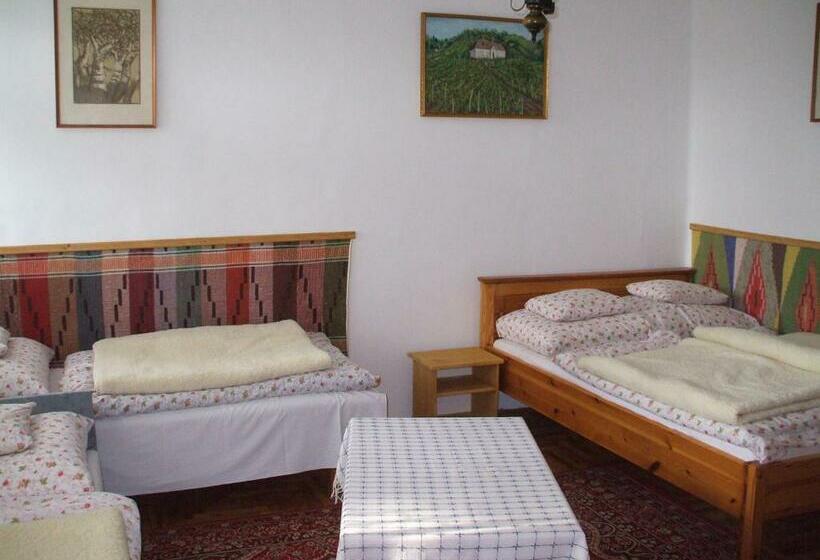 פנסיון Simai Vendégház