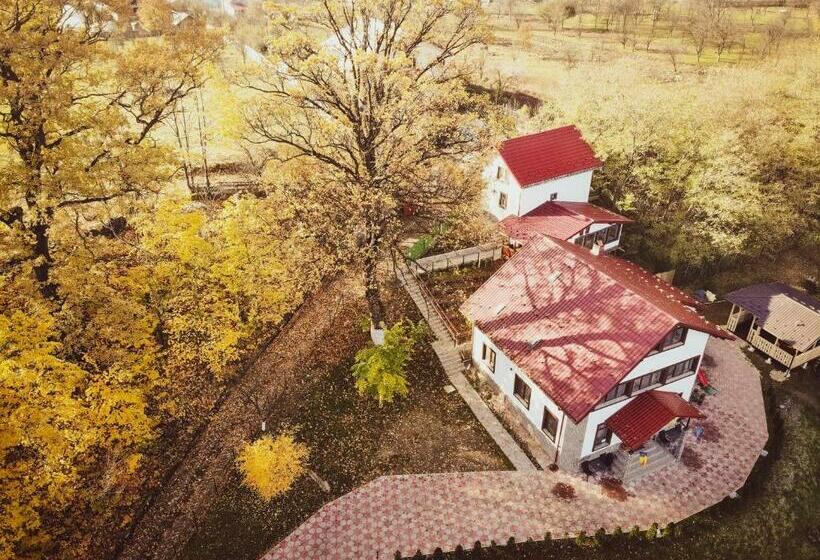 膳宿费 Casa Stejarul Lui Andrei