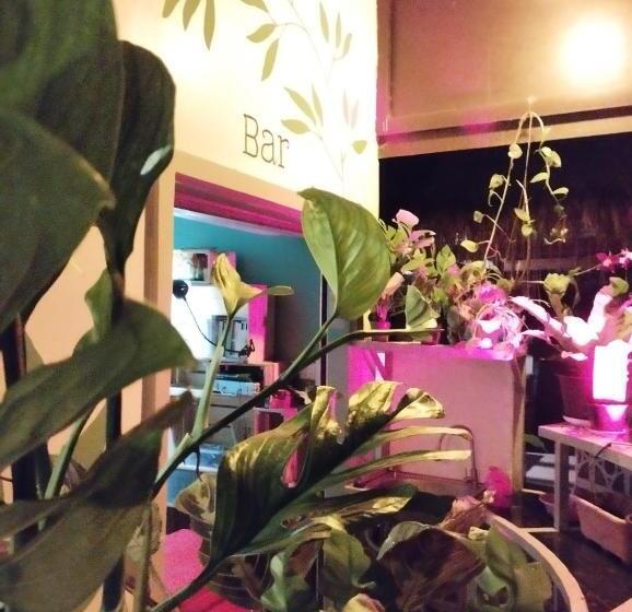 Пансион The Cocoon