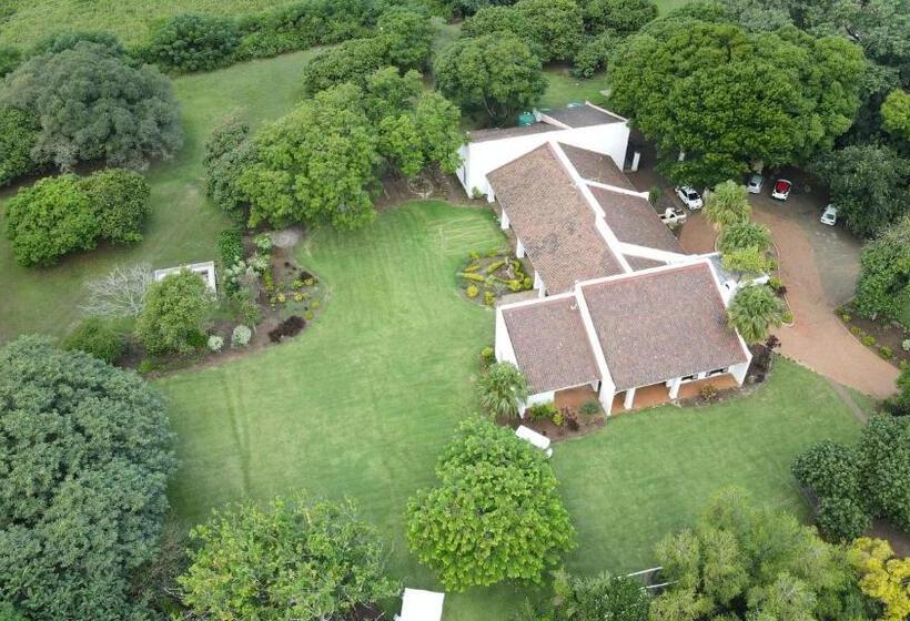 פנסיון The Sunbird Guesthouse