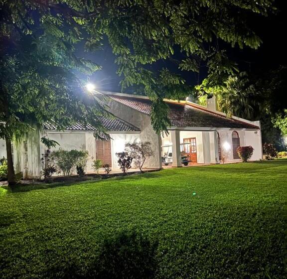 פנסיון The Sunbird Guesthouse