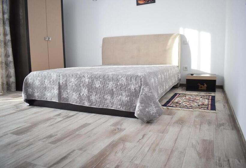 פנסיון Casa Dumitru