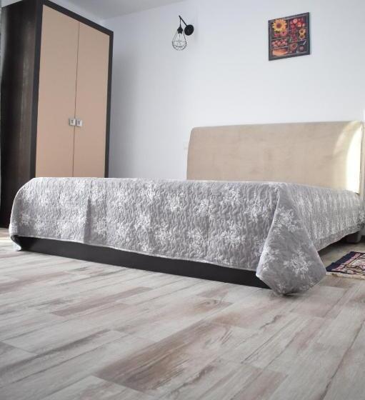 פנסיון Casa Dumitru